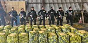 Elementos de Policía Nacional Civil resguardan el cargamento de droga previo a ser trasladado a la ciudad (Foto: MINGOB)
