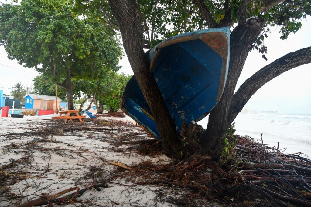 Un barco acabó en un árbol tras el paso del huracán Beryl en los jardines de Oistins, Christ Church, Barbados, el 1 de julio de 2024. (Foto de Randy Brooks/AFP