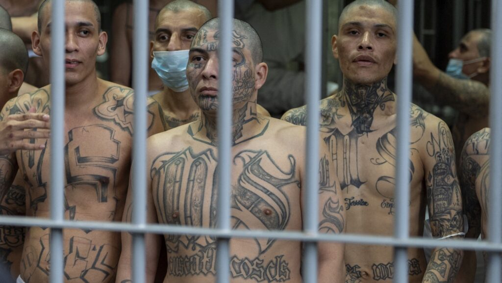 Presos con tatuajes de la pandilla MS-13 miran desde su celda mientras la secretaria de Seguridad Nacional de EE. UU., Kristi Noem, recorre el Centro de Confinamiento de Terroristas (CECOT) en Tecoluca, El Salvador, el 26 de marzo de 2025. (Foto de Alex Brandon / POOL / AFP)