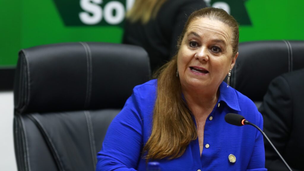 Ministra de Educación Anabella Giracca. (Foto: MINEDUC)
